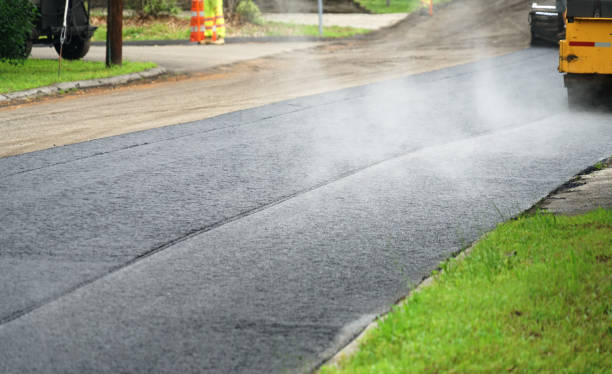 Best Decorative Driveway Pavers  in Lake Lorraine, FL